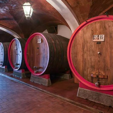 Resort Svetoni Wine